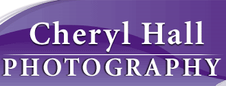 Cheryl Hall Photography